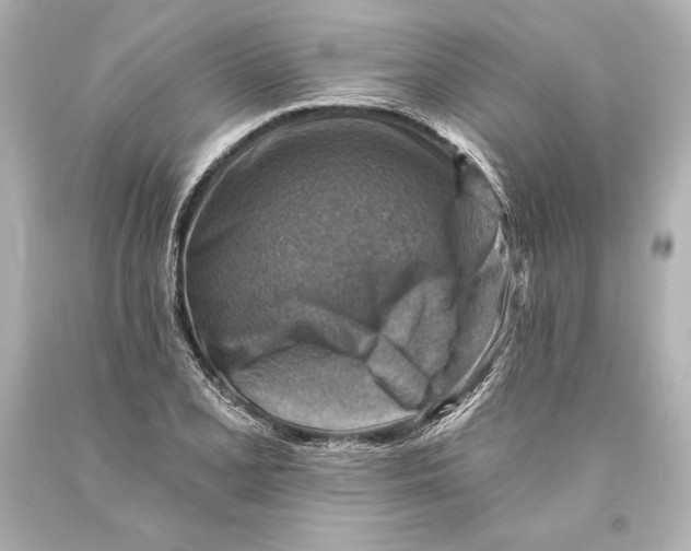 X0000093471077200711021226