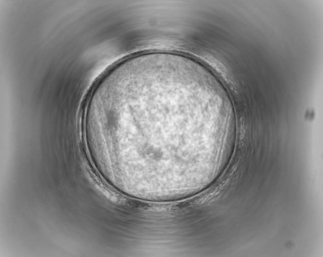 X0000093471078200711021226