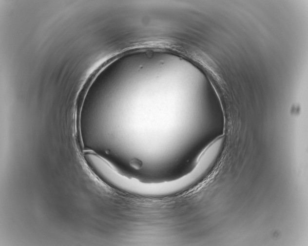 X0000093471079200711021226