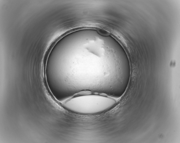 X0000093471080200711021226