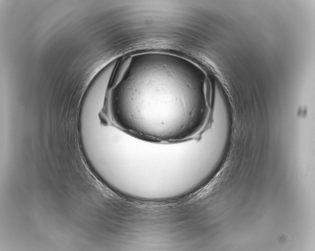 X0000093471081200711021226