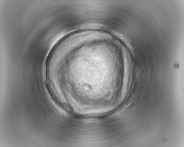 X0000093471083200711021226