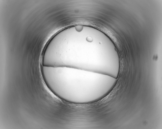 X0000093471084200711021226