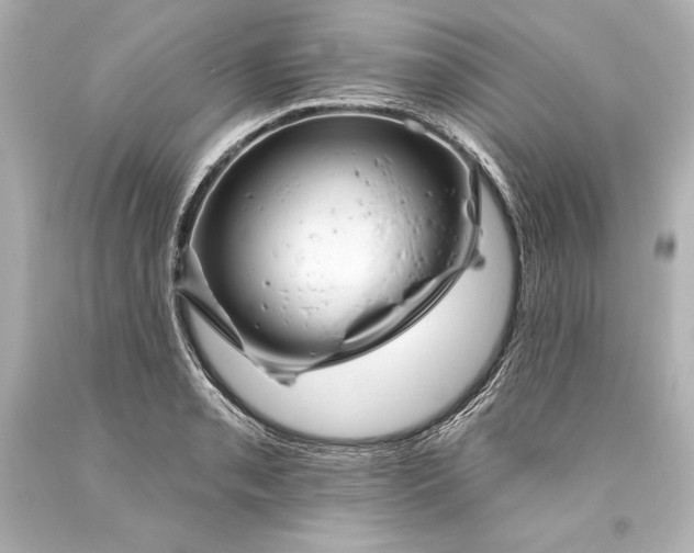 X0000093471085200711021226