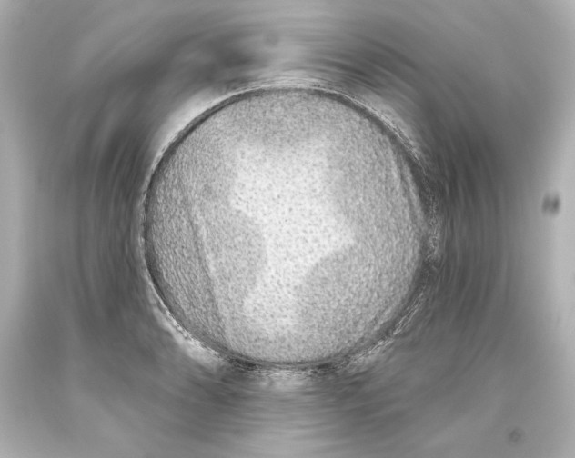 X0000093471086200711021226