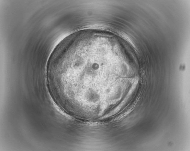 X0000093471087200711021226