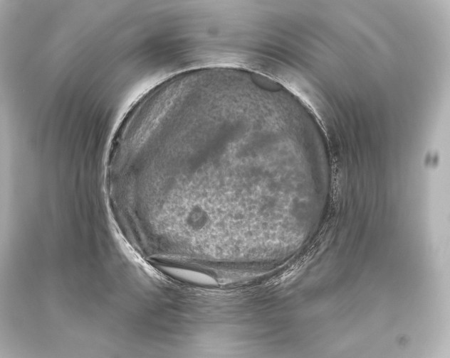 X0000093471088200711021226