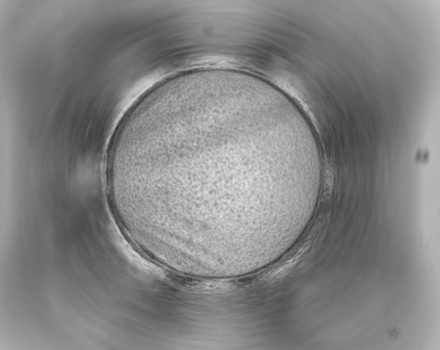 X0000093471090200711021226