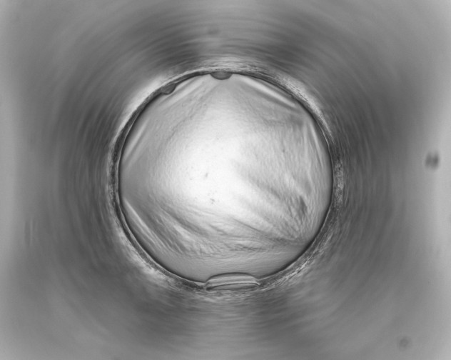 X0000093471091200711021226