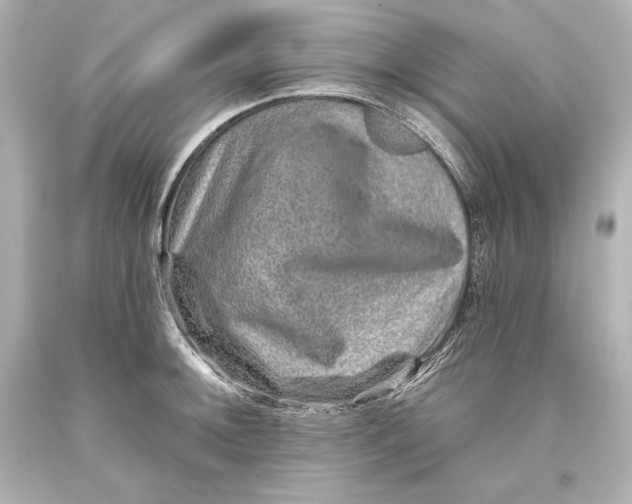 X0000093471092200711021226