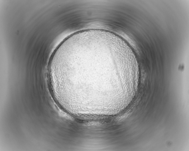 X0000093471094200711021226