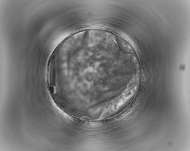 X0000093471095200711021226