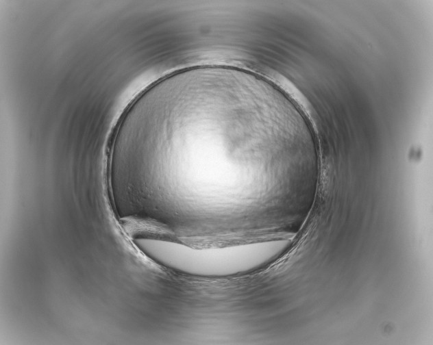 X0000093471096200711021226