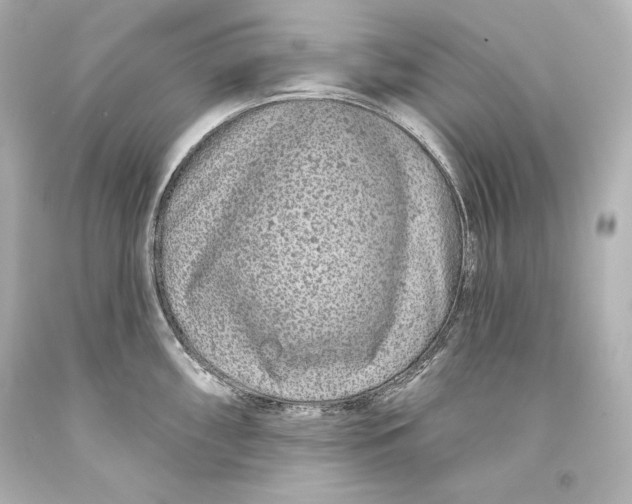 X0000093471098200711021226