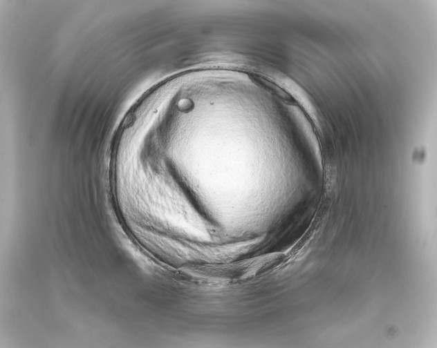 X0000093471099200711021226