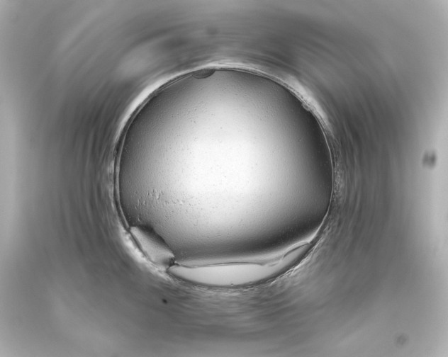 X0000093471100200711021226