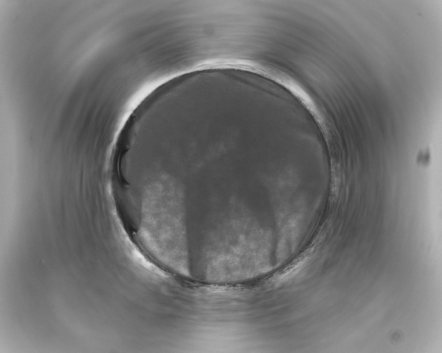 X0000093471102200711021226