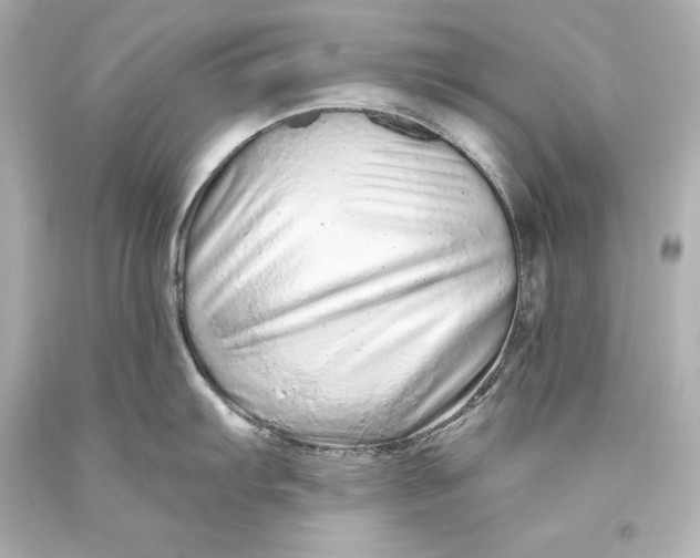 X0000093471103200711021226