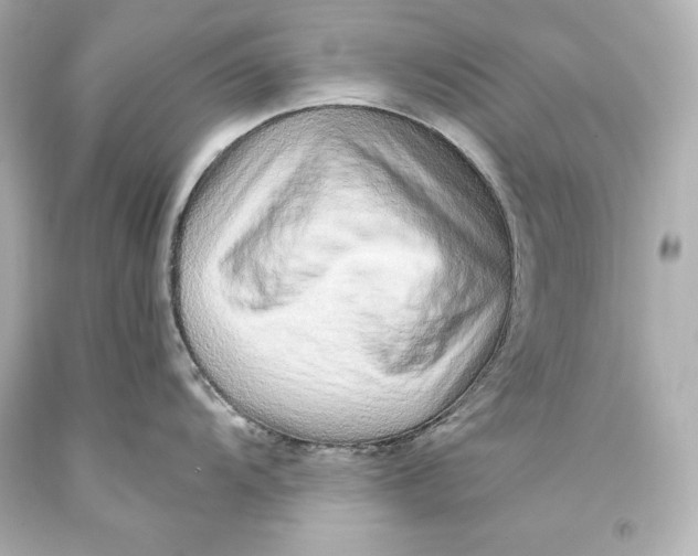 X0000093471104200711021226