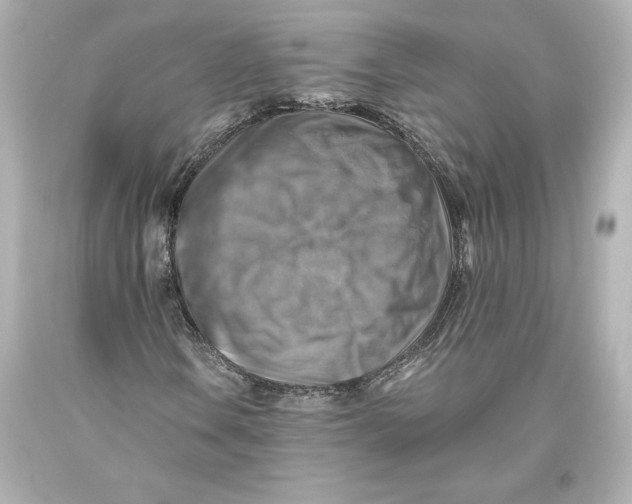 X0000093471106200711021225