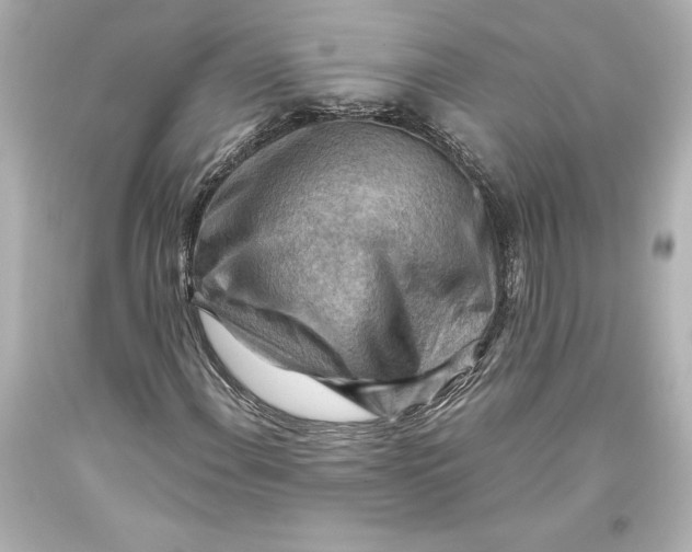 X0000093471108200711021225