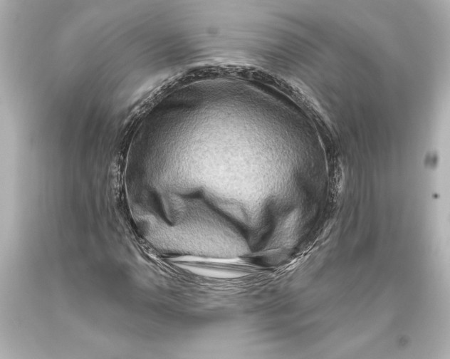 X0000093471110200711021225