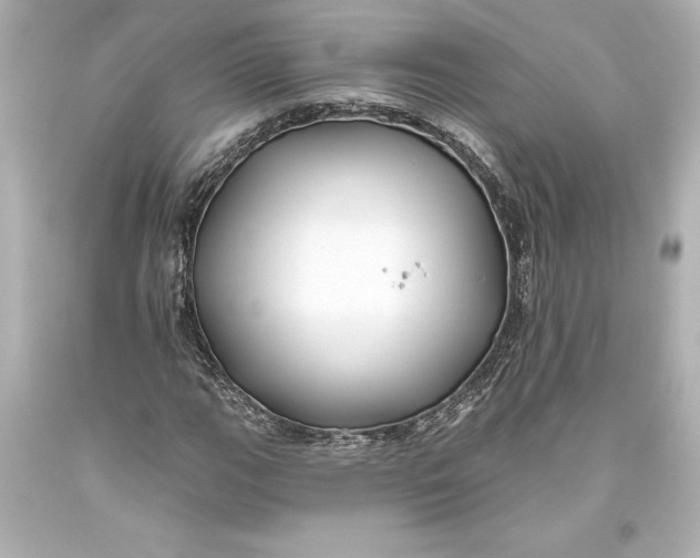 X0000093471111200711021225