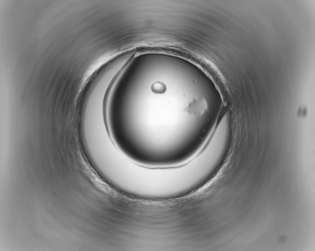 X0000093471114200711021225