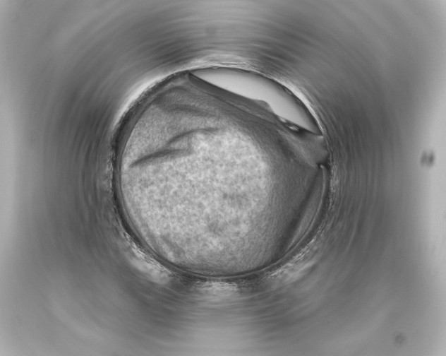 X0000093471115200711021225