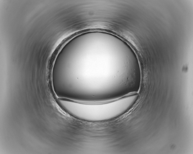 X0000093471116200711021225