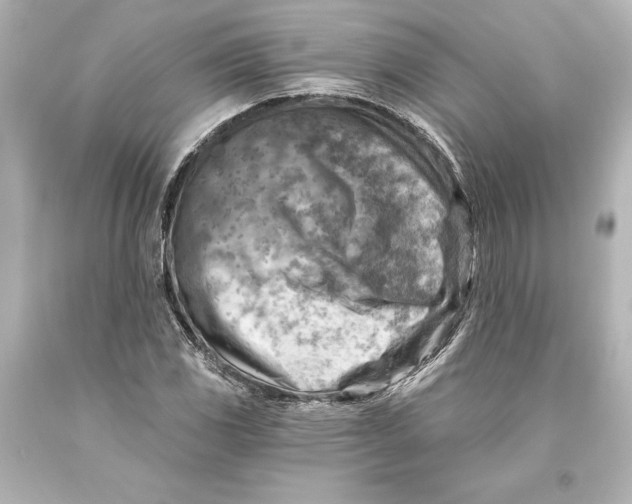 X0000093471117200711021225