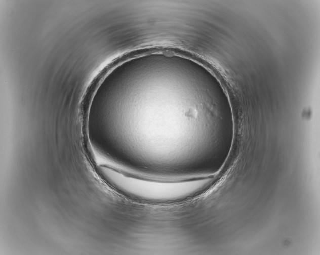 X0000093471118200711021225