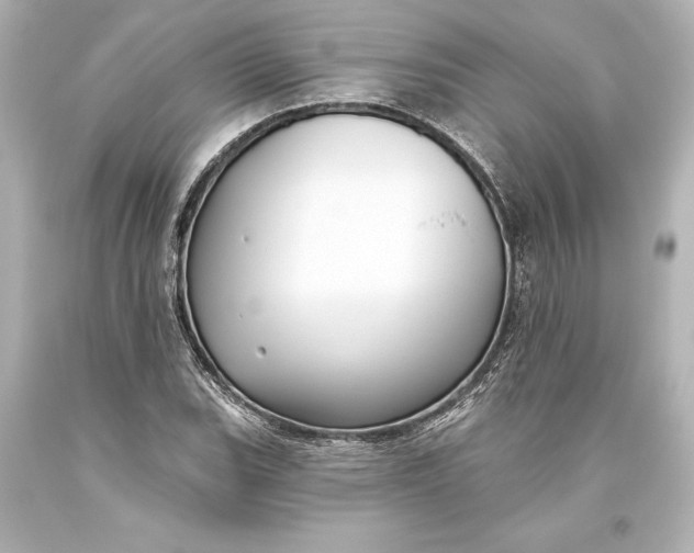 X0000093471119200711021225