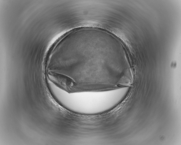 X0000093471120200711021225