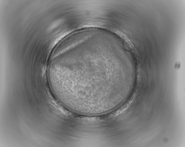 X0000093471121200711021225