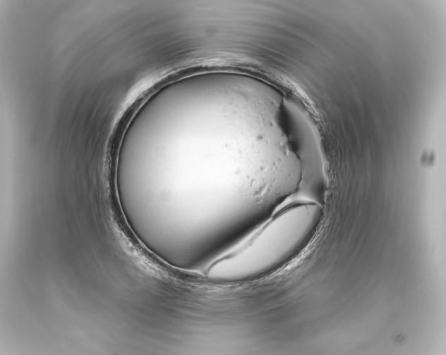 X0000093471122200711021225