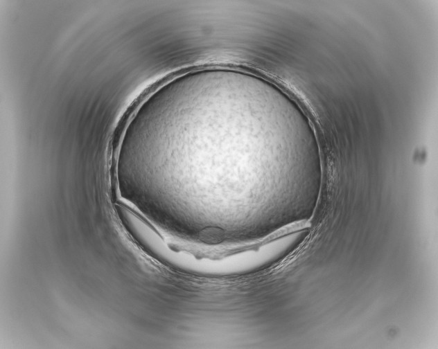 X0000093471124200711021225