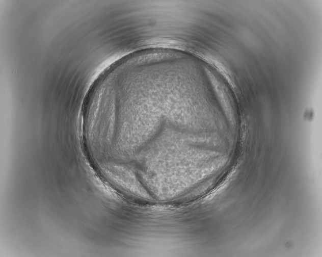 X0000093471125200711021225