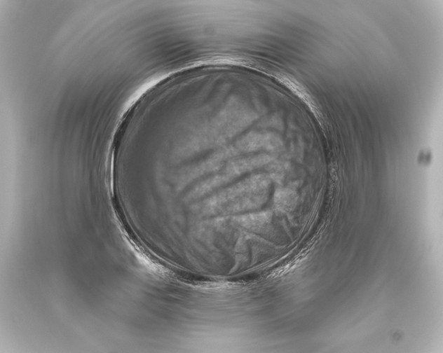 X0000093471127200711021225