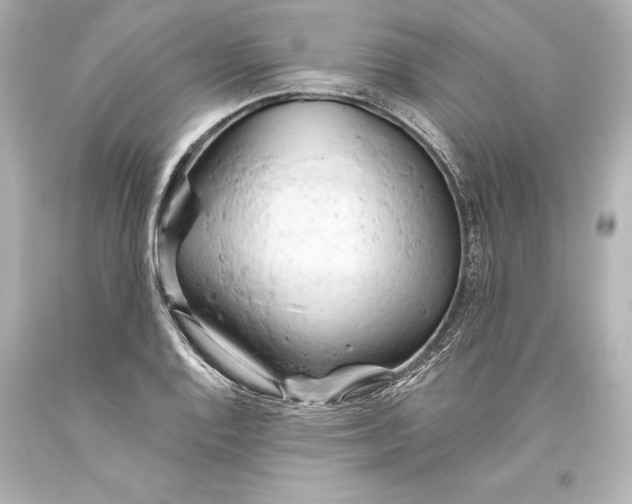 X0000093471128200711021225