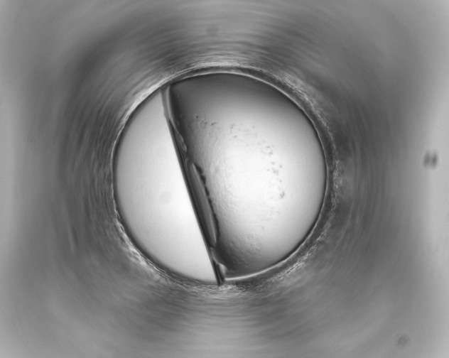 X0000093471129200711021226