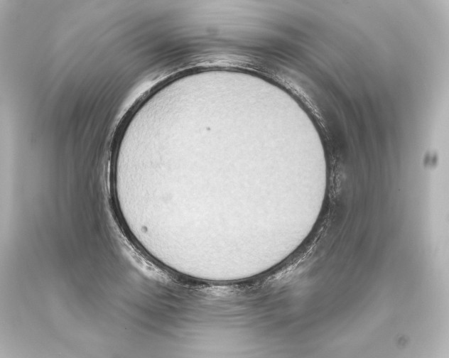 X0000093471130200711021226