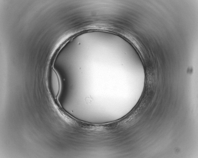 X0000093471131200711021226