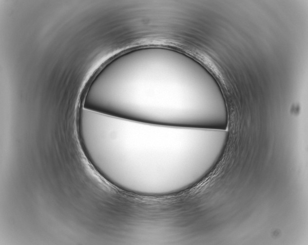 X0000093471132200711021226