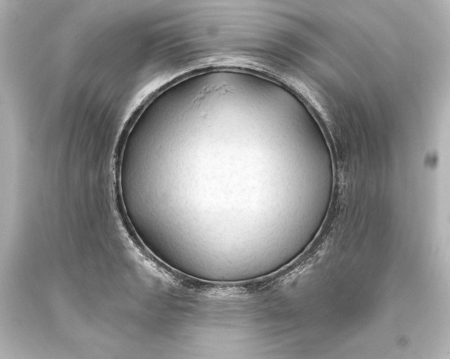 X0000093471133200711021226