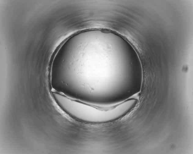 X0000093471134200711021226