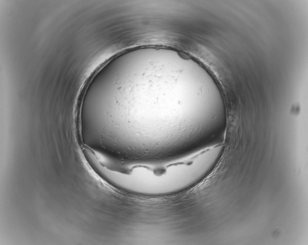 X0000093471135200711021226