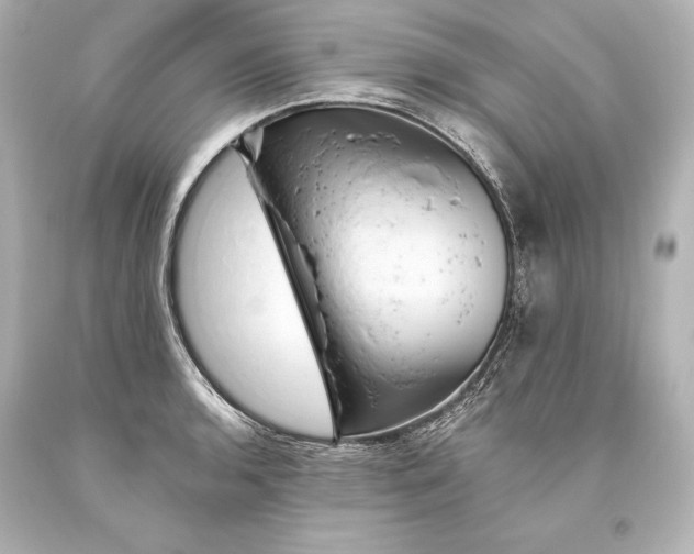 X0000093471136200711021226