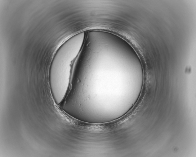 X0000093471137200711021226