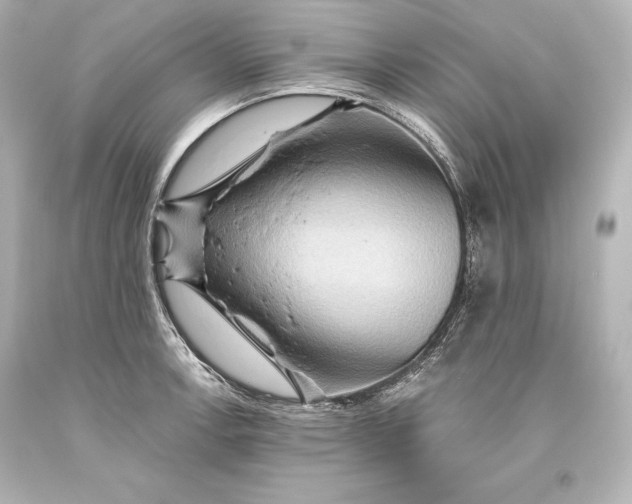 X0000093471138200711021226